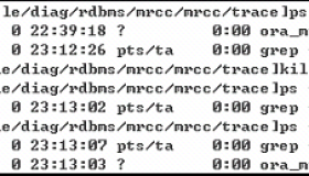 Oracle 宕机后文件损坏resetlogs后处理
