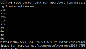 使用Docker运行SQL Server