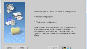 Oracle 11g RAC 建库时报ORA-00119与ORA-00132错误