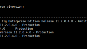 Linux下将Oracle11g由非归档模式（Noarchivelog）更改为自动归档模式（archivelog）