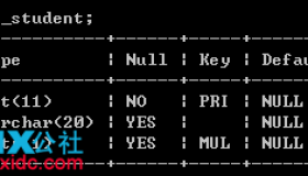 MySQL数据库连接查询