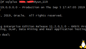 Linux上搭建Oracle的客户端