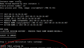 Oracle 导出 ASH的dump信息