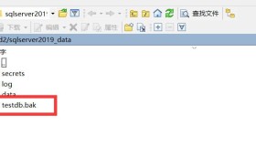 SQL Server in Docker 还原数据库