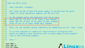 Redis持久化之RDB