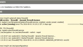 ORA-29783: GPnP attribute SET failed with error [CLSGPNP_NOT_FOUND]