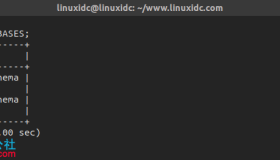 如何在 MySQL 中显示所有的数据库
