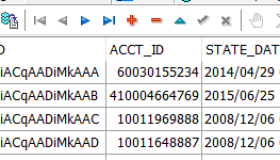 TOAD和PLSQL 默认日期显示、rowid显示、TNSNAME的修改