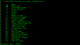 OGG-01163 Oracle GoldenGate Delivery for Oracle, reprpt01.prm
