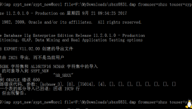 Oracle 导入数据报600错误