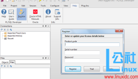 PL/SQL Developer安装配置过程