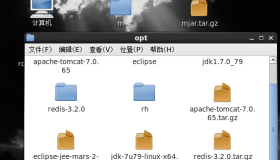Linux虚拟机中Redis安装步骤