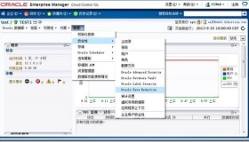 Oracle Database 12c Data Redaction介绍