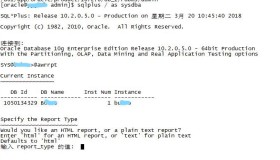 Linux平台生成awr报告