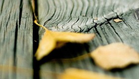 修改 WordPress 管理账号名称插件：Admin renamer extended