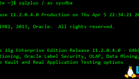 Linux下Oracle 11g 单实例静默安装