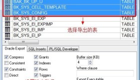 Oracle导出表（即DMP文件）的两种方法