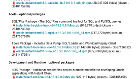 使用PRO*C链接Oracle数据库步骤及问题