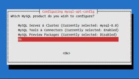 如何在 Debian 10 Linux 上安装MySQL