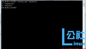 Redis配置文件参数说明及命令操作