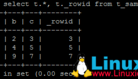 InnoDB存储引擎表的主键