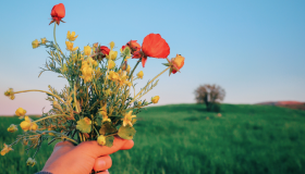 为什么Kafka如此之快？