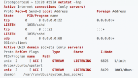 【Linux面试真题】- 如何查看系统都开启了哪些端⼝？