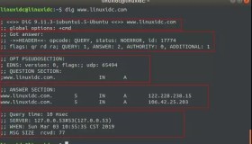 为你介绍Linux系统下解析域名的dig命令！