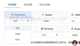 阿里云轻量服务器WordPress应用镜像安装配置网站上线全流程