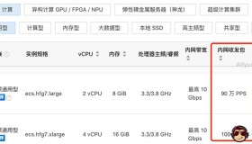 阿里云服务器内网收发包PPS是什么？
