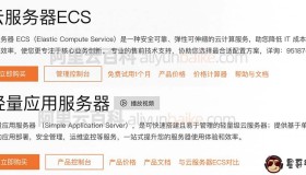 阿里云轻量应用服务器和云服务器ECS区别性能对比