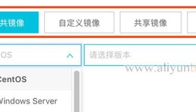 阿里云公共镜像、自定义镜像、共享镜像和镜像市场的区别
