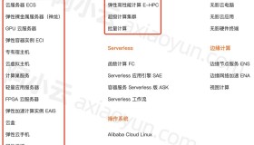 阿里云云主机_ECS_轻量_GPU_虚拟主机等主机详解