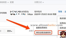实例密码和远程连接密码的区别