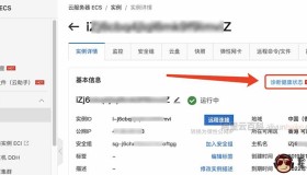 阿里云服务器ECS诊断健康状态（自助化诊断工具）