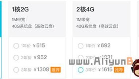 什么是突发性能实例？阿里云突发性能t5服务器怎么样？