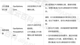 阿里云服务器ECS的vCPU是什么意思？