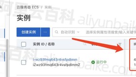 阿里云服务器IP地址在哪查看？