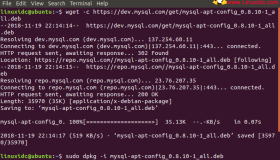 如何在Ubuntu 18.04中安装MySQL 8.0数据库服务器