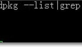 在Ubuntu Server 13.10系统中安装配置OpenSSH