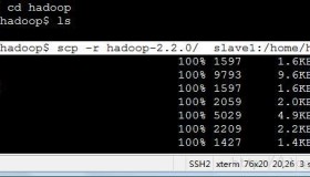 Ubuntu系统(64位)下安装并配置Hadoop2.2.0集群