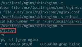 nginx: [error] invalid PID number “＂ in ＂/usr/local/nginx/logs/nginx.pid”