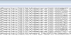 Windows Server 2008 R2下使用explorer批量下载文件