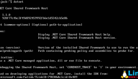 ASP.NET Core：部署项目到Ubuntu Server