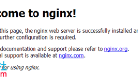 Linux下Nginx服务安装配置