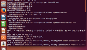 Ubuntu配置OpenStack 图文详解