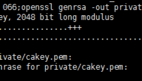 Linux下创建私有CA服务器