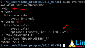 Docker+OpenvSwitch搭建VxLAN实验环境