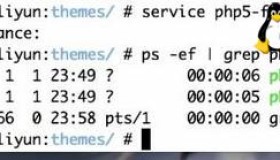 Ubuntu Server 14.04 下 service php-fpm restart 提示 restart: Unknown instance