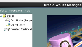 Oracle数据透明加密-TDE